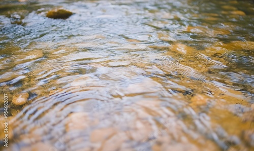  texture of water of ground in a forest river, Generative AI