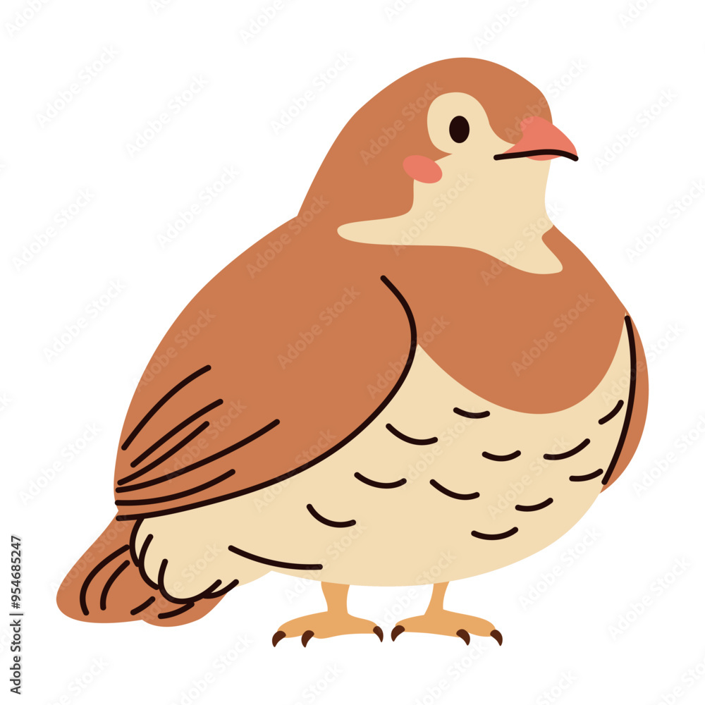 Cute quail on white background. Flat vector illustration in simple child style . Vector illustration Cute quail on white background. Flat vector illustration in simple child style . Vector illustration