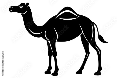 camel in desert