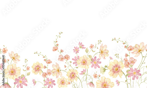 Delicate watercolor cosmos flowers Watercolor floral seamless border