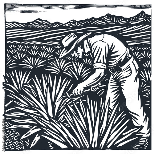 a Mexican peasant working on an agave plantation, vector illustration	