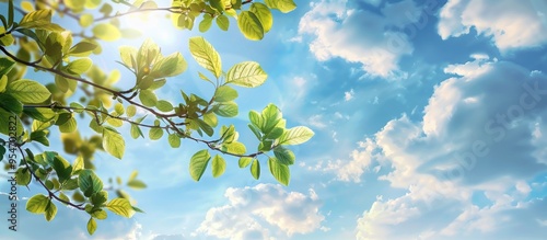 Spring branch with foliage ...