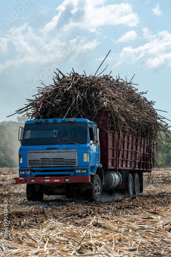 Truck transporting freshly harvested sugar cane across a rural agricultural landscape, highlighting sustainability and the global supply chain process, Central America - stock photo