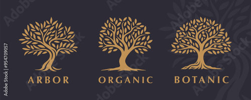 Set of three elegant tree logo emblems showcasing organic and botanical designs. Ideal for branding, nature-inspired businesses, and environmental concepts with a focus on growth and sustainability.