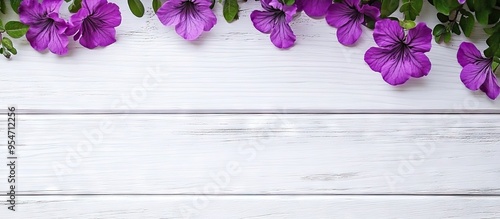 purple flowers on a white w...