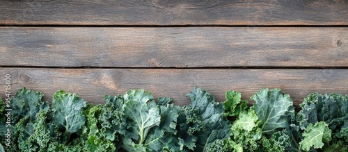 Closeup of fresh kale leave...