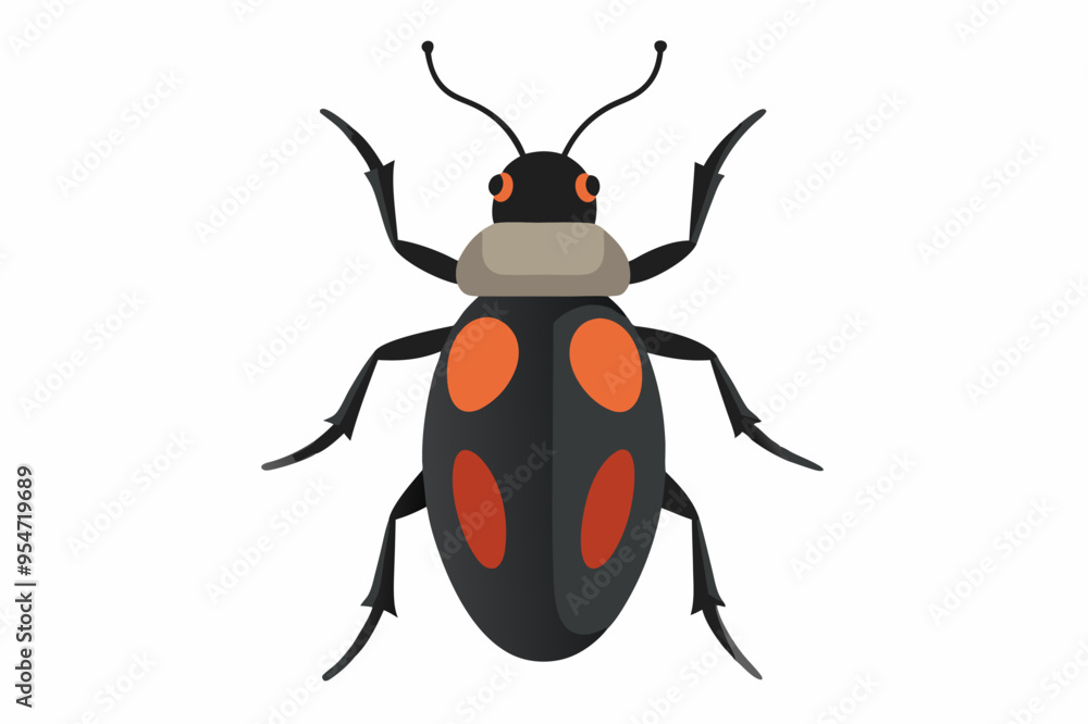 Fototapeta premium A Beetle on a white background