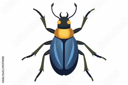 A Beetle on a white background