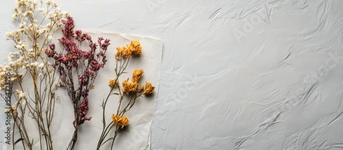 Lovely dried flowers and em...