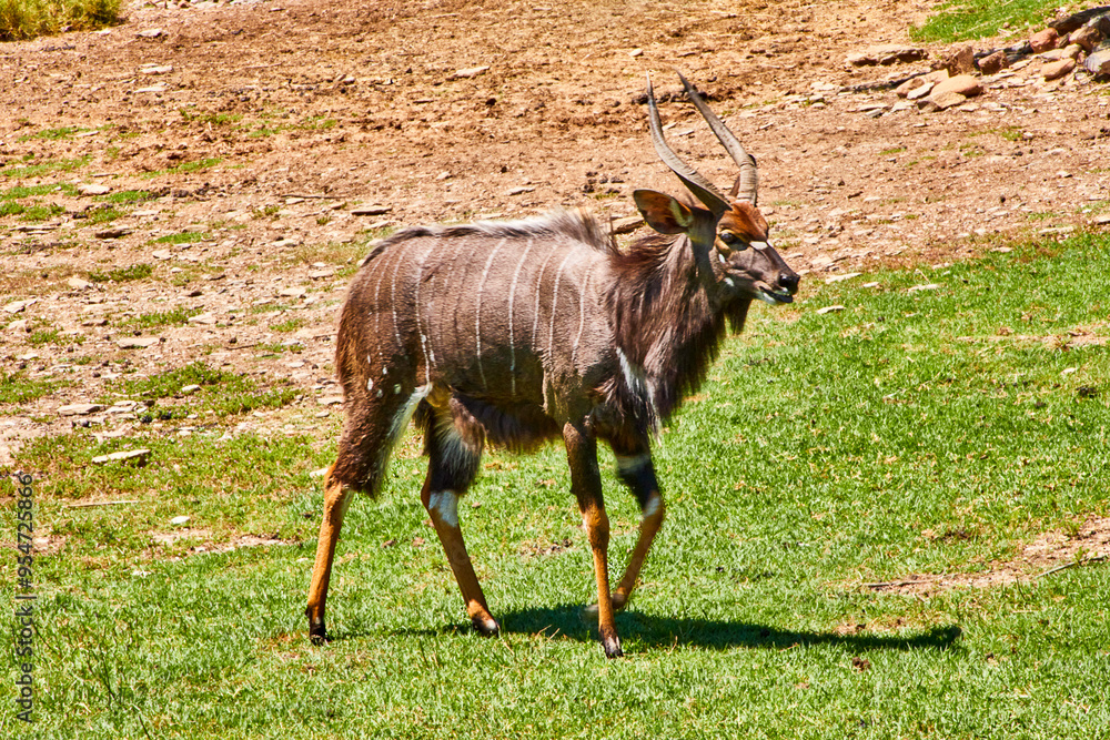Fototapeta premium Eine Reise durch Südafrika.