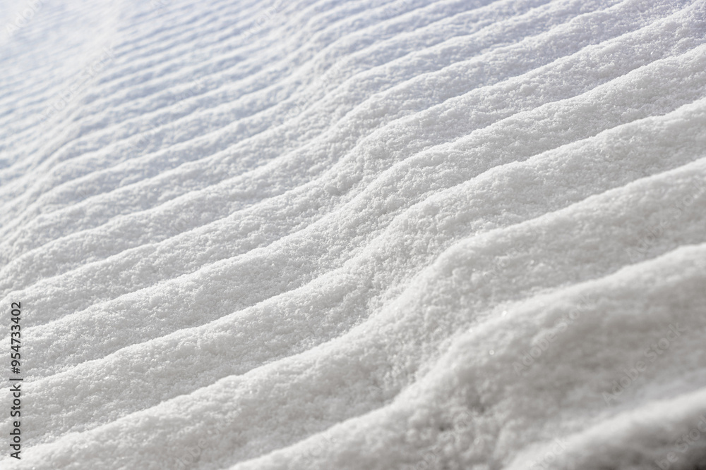 Fototapeta premium A tile roof covered with snow