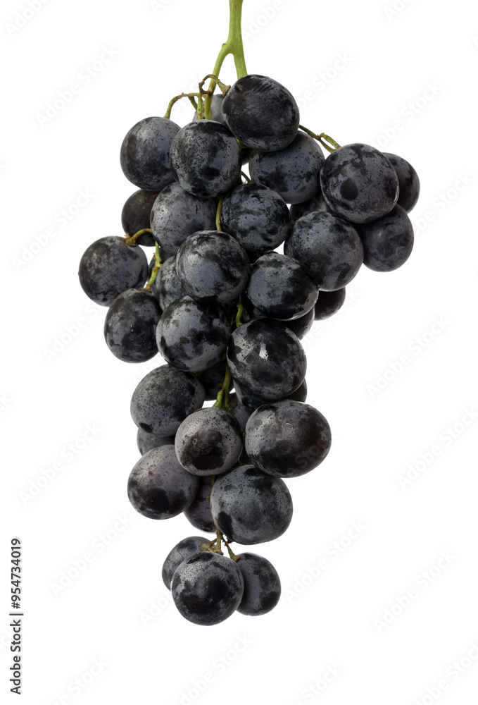 Fototapeta premium bunch of grapes