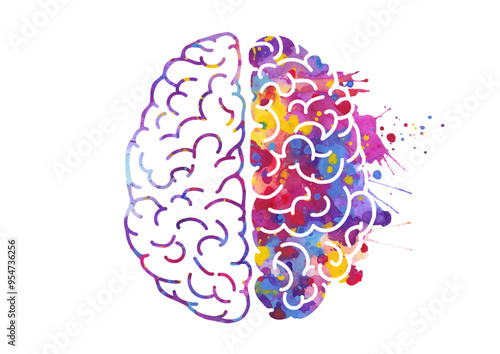Watercolor brain, left and right hemispheres. Vector illustration