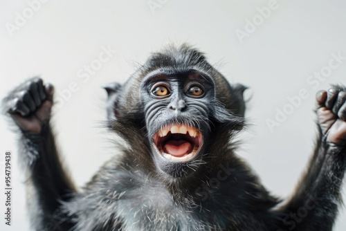 Joyful Monkey with Open Mouth Showing Teeth on Light Background