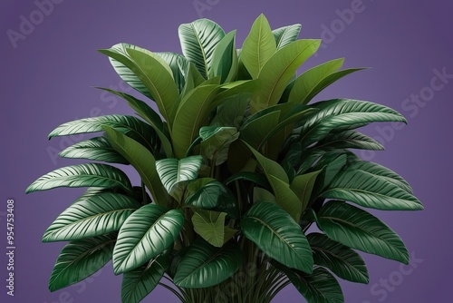 3D Illustration of Fresh Rhapis Excelsa Bush with Texture and Lush Leaves photo