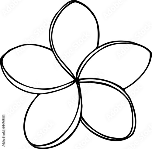 Hand drawn vector illustration of Plumeria tropical flower in line art style isolated on a white background.