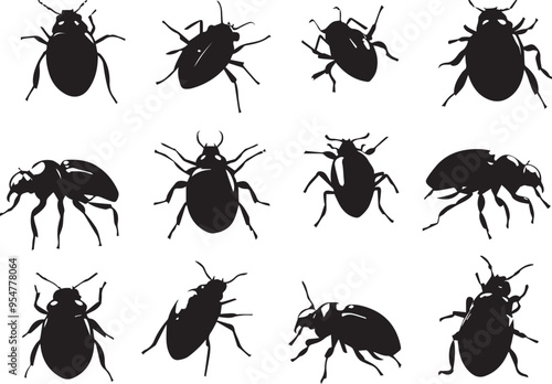 Set bugs. Hand drawn vector illustration	