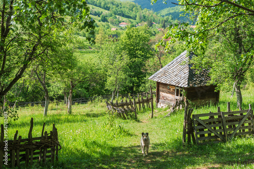 Old wooden houses in Serbian village. Rural landscape in summer