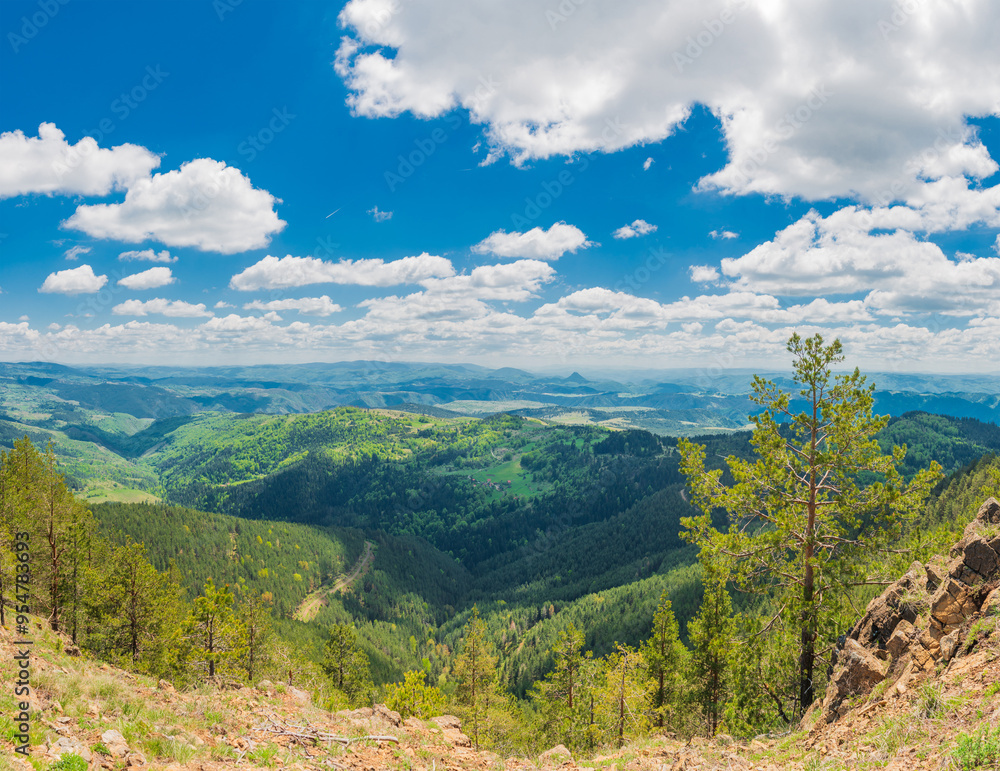 Naklejka premium Picturesque mountains near the town of Zlatibor. View of the forest in the mountainous area in summer with blue sky with clouds