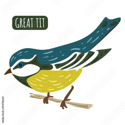 Great tit, cute bird. Isolated bird vector illustration.