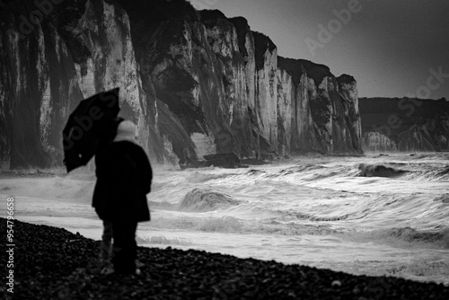 Εκτύπωση καμβά Solitude en mer