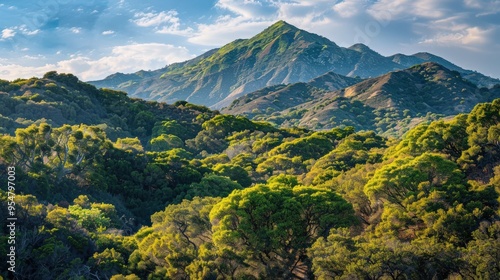 Chaparral Landscape in Malibu, California: Santa Monica Mountains Wilderness Canyon photo