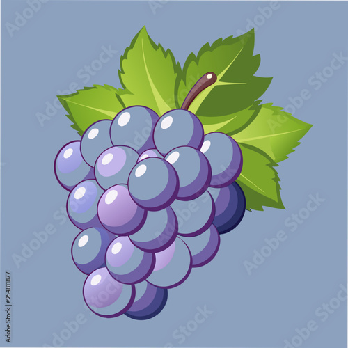 Grape Vector Illustration for Creative Projects