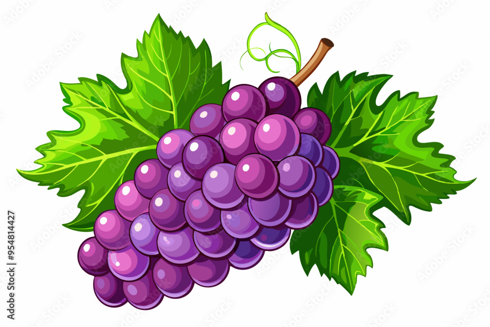 Grape Vector Illustration for Creative Projects Grape Vector Illustration for Creative Projects