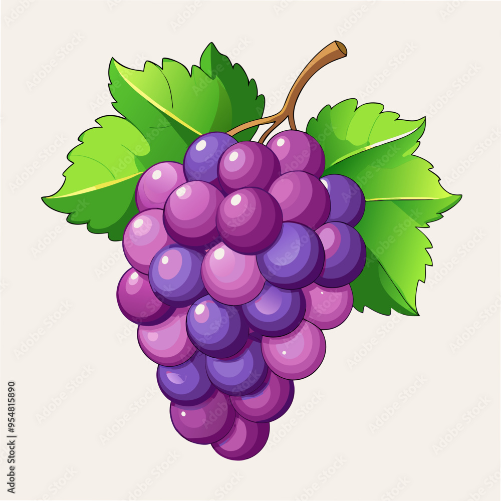 Grape Vector Illustration for Creative Projects Grape Vector Illustration for Creative Projects
