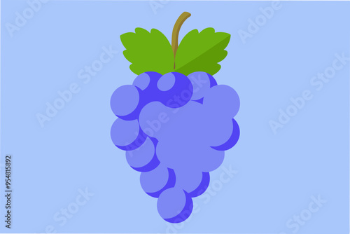 Grape Vector Illustration for Creative Projects