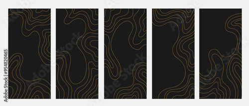 Set of contour topographic map vertical banner. Geographic mountain relief. Abstract lines background. Gold and black colors	
