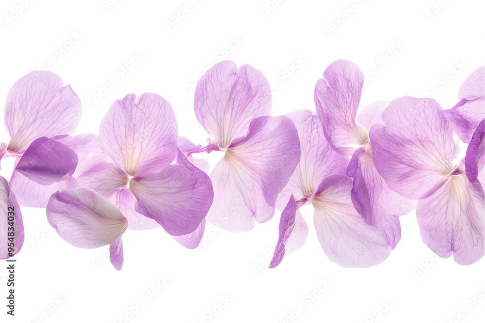 Obraz premium Floating Lavender Petals Seamless Border