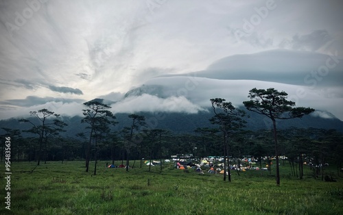 Campground and many tents in pine tree forest with landscape of mountain and fog at Phu Soi Dao National Park, Uttaradit, Thailand. photo