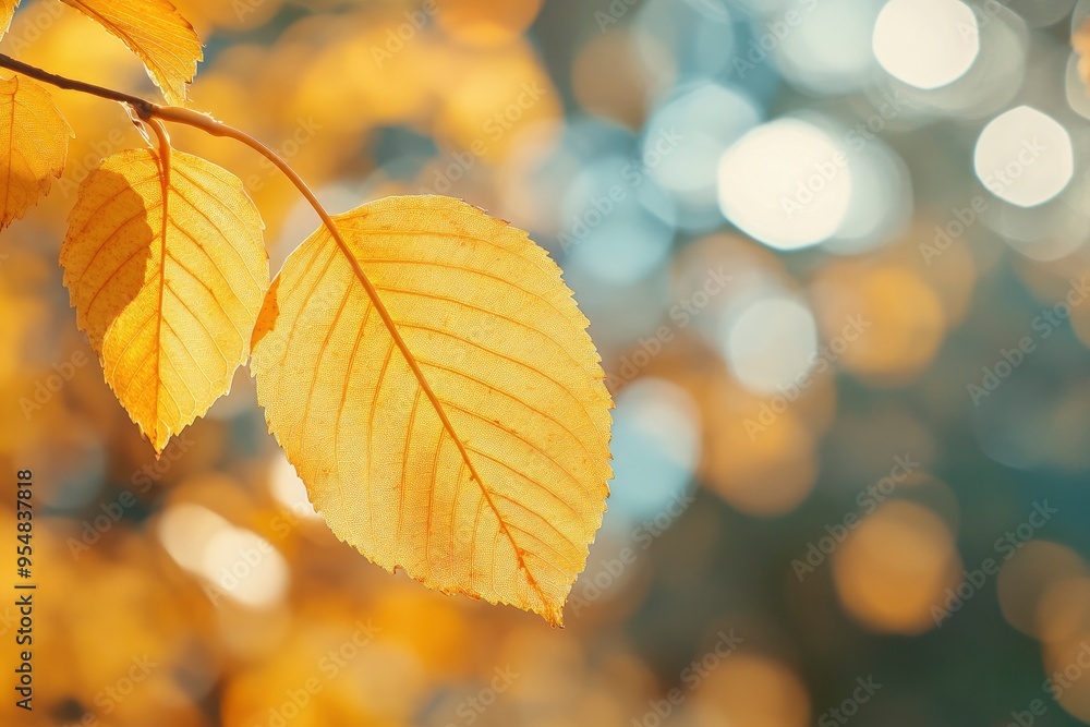 Close-up of a yellow autumn leaf. A bright orange tree changes with a blurred bokeh background. with generative ai Close-up of a yellow autumn leaf. A bright orange tree changes with a blurred bokeh background. with generative ai