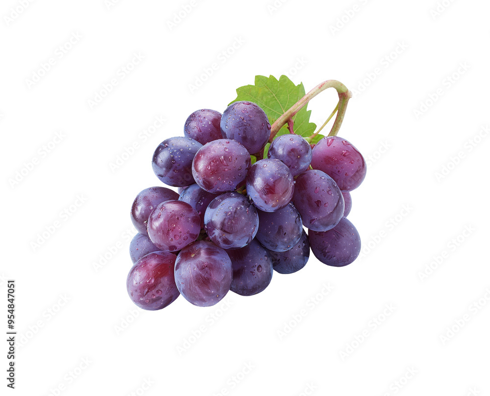 Fototapeta premium Bunch of fresh purple grapes with dewdrops isolated on transparent background