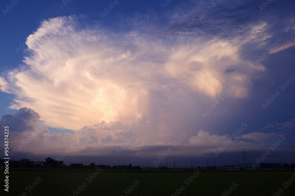 宇都宮市 夕暮れに発生した、かなとこ雲 宇都宮市 夕暮れに発生した、かなとこ雲
