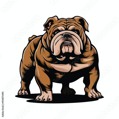 english bulldog standing