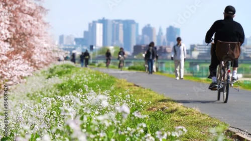 【神奈川県・川崎市－東京都・大田区】春の多摩川河川敷の日常風景　土手で花見をする人々　フィックス　
Daily scenery along the Tama River in spring. People watching cherry blossoms on the bank. - Kanagawa, Tokyo, Japan - fix