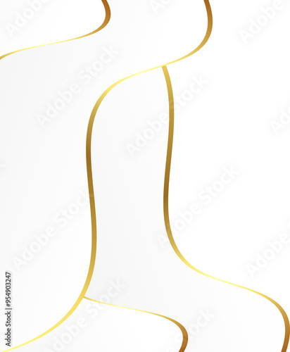 white and golden lines border