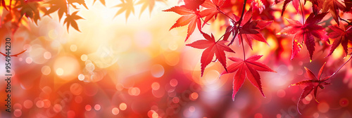  Autumn leaves on a golden background. Autumn web banner with golden bokeh, copy space for text