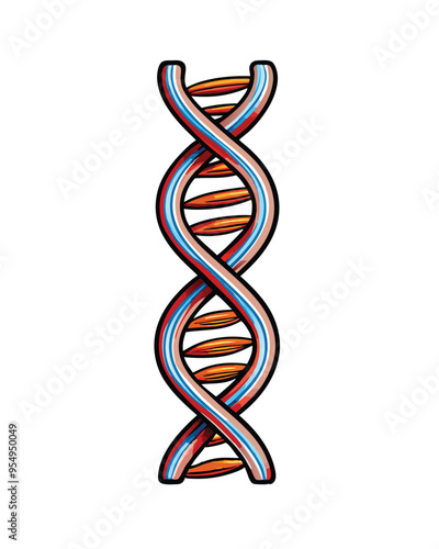 Editable stroke vector of a DNA strand with double helix, red, blue, orange and white colors, isolated.