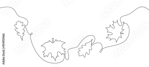 Vector illustration of autumn leaves drawn in a continuous line style, emphasizing simplicity and elegance.