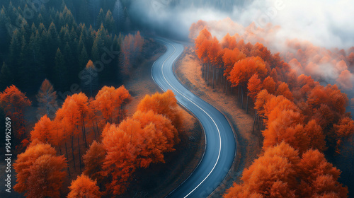 Aerial view of road in beautiful orange forest in low clouds at sunset in autumn. Colorful landscape with roadway,  photo