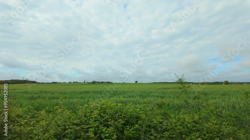 Riding past French wheat fields in Summer photo