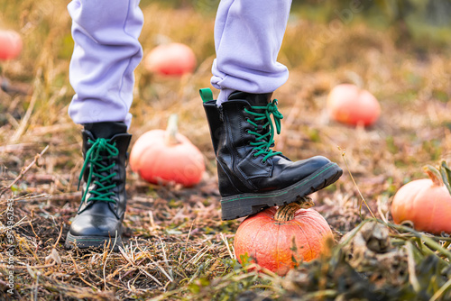 Girl holding pumpkin. Autumn harvest from farm. Local homegrown vegetables on Halloween. Kid growing organic eco-friendly food. Farmer with Jack o lantern. Harvesting in family garden photo