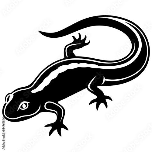 Salamander Silhouettes Vector Animal Illustration on White Background