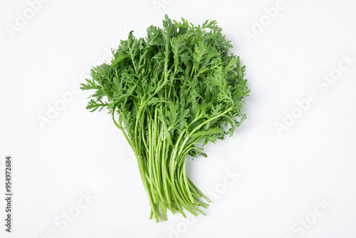 vegetable