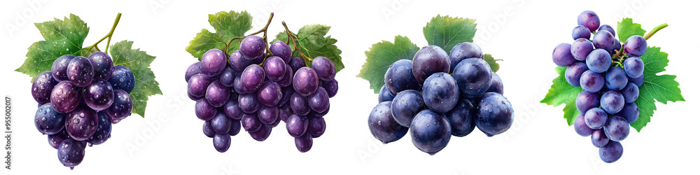 Ripe Juicy Grapes - Fresh and succulent fruit clusters Isolated on Clear Background PNG Highly Detailed Ripe Juicy Grapes - Fresh and succulent fruit clusters Isolated on Clear Background PNG Highly Detailed