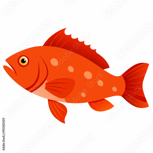 Coral Trout Fish vector artwork