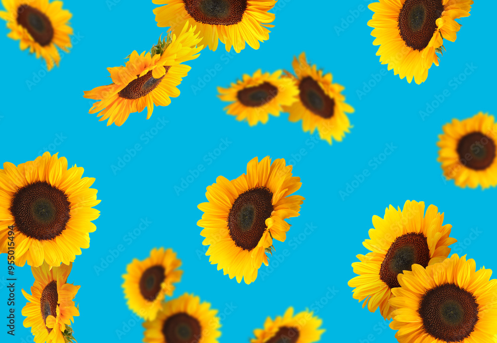 Vibrant sunflowers flying on light blue background Vibrant sunflowers flying on light blue background